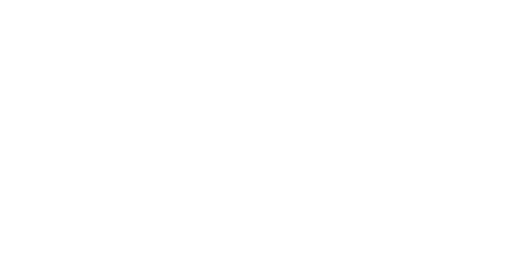 logo blue lobster solutions